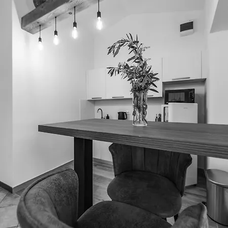 דירה Apartma Kamin *